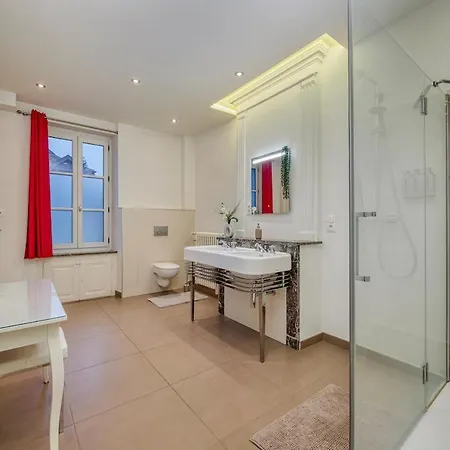Bedroom 2 - Authentic Charm - Coliving Historic House Ferney-Voltaire